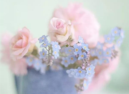 Fragrance Marketing&SCENT-E